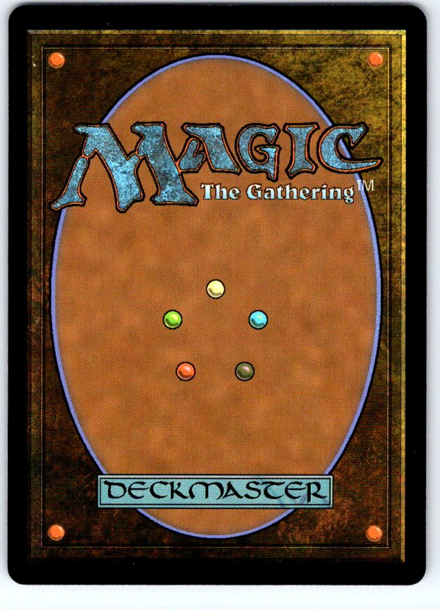 Forest (0286) 286 Land Avatar: The Last Airbender Magic: The Gathering Near Mint