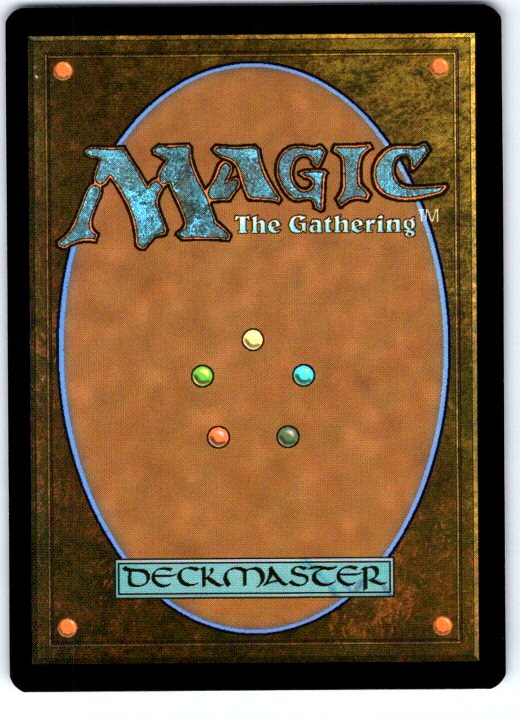 Southern Air Temple 36 Avatar: The Last Airbender Magic: The Gathering NM