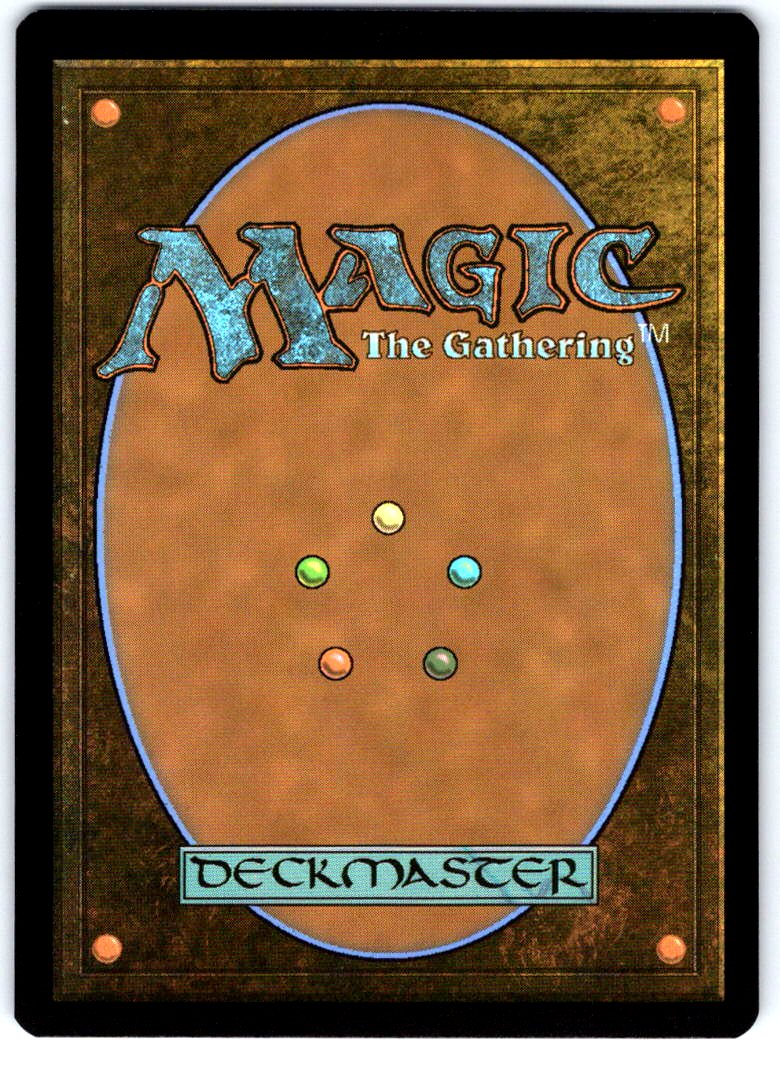 Walltop Sentries 202 Common Avatar: The Last Airbender Magic: The Gathering NM