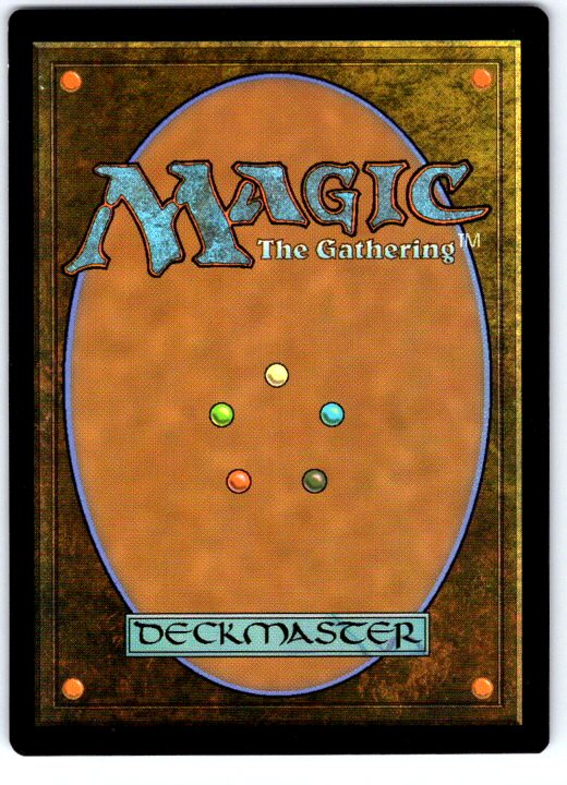 Plains (0262) 262 Universes Beyond: LOTR: Tales of Middle-earth MTG NM