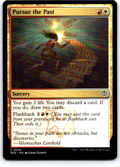 Pursue the Past 216 Common Secrets of Strixhaven Magic: The Gathering Near Mint