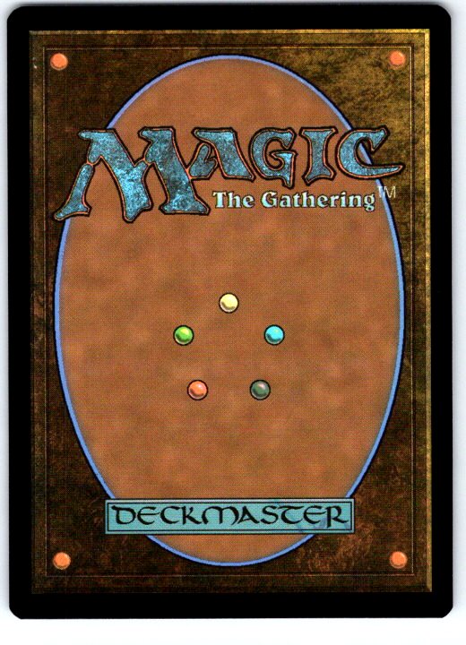 Owlin Historian 24 Common Secrets of Strixhaven Magic: The Gathering Near Mint