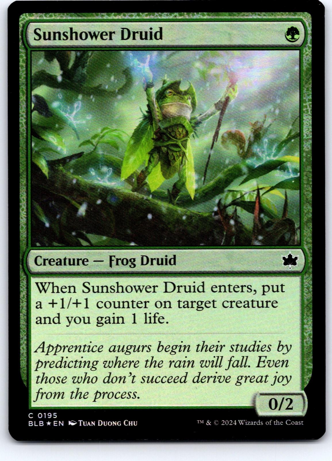 Sunshower Druid 195 Common Bloomburrow Magic: The Gathering Foil Near Mint