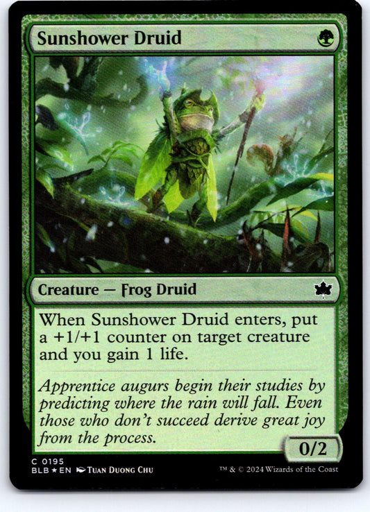 Sunshower Druid 195 Common Bloomburrow Magic: The Gathering Foil Near Mint