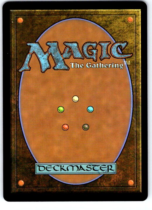 Kyoshi Village 271 Land Avatar: The Last Airbender Magic: The Gathering NM