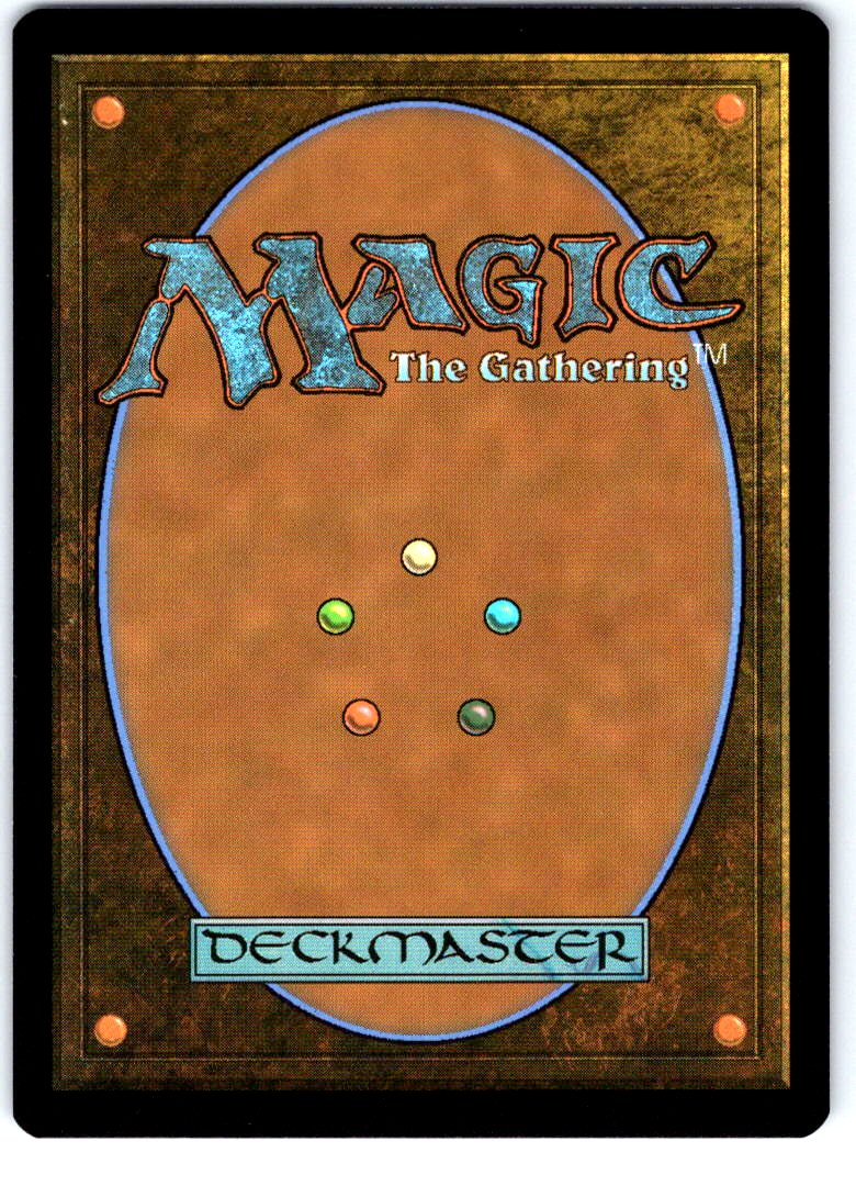 Lessons from Life 0155 Teenage Mutant Ninja Turtles Magic: The Gathering NM