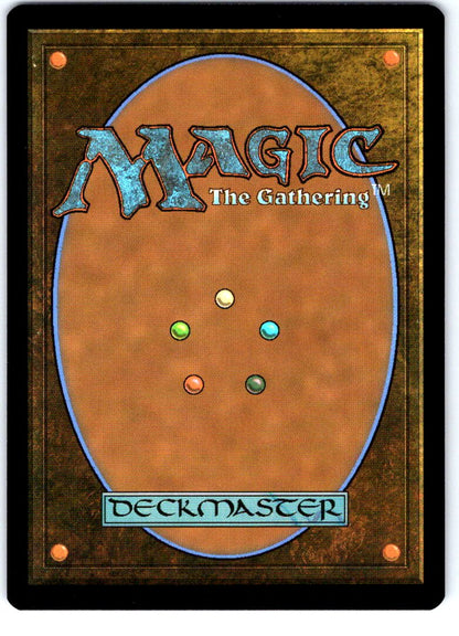 Lessons from Life 0155 Teenage Mutant Ninja Turtles Magic: The Gathering NM