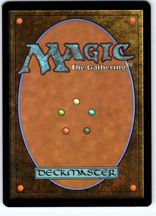 Patient Naturalist 174 Outlaws of Thunder Junction Magic: The Gathering NM